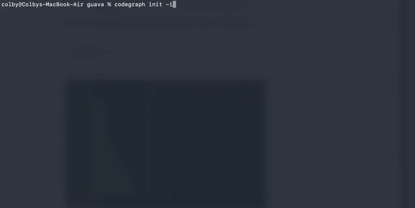 CodeGraph 演示